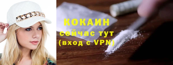ГАЛЛЮЦИНОГЕННЫЕ ГРИБЫ Михайлов