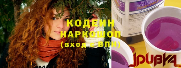 ГАЛЛЮЦИНОГЕННЫЕ ГРИБЫ Михайлов